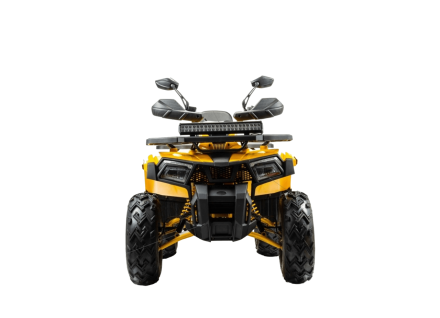 Квадроцикл BISON Track X PRO, фото 2