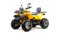 Квадроцикл BISON Track X PRO, фото 1 Квадроцикл BISON Track X PRO, фото 1