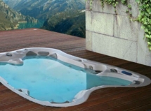 Спа бассейн Dimension One Spas Bay Collection Sarena Bay