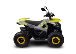 Квадроцикл AVANTIS Ray 8 Lux, фото 2 Квадроцикл AVANTIS Ray 8 Lux, фото 2