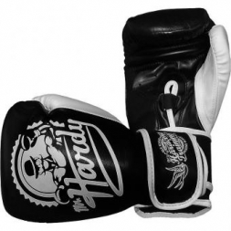 Боксерские Перчатки Hardcore Training hctboxglove03, фото 1