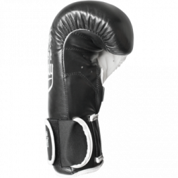 Боксерские Перчатки Hardcore Training hctboxglove03, фото 5