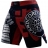 Шорты Hardcore Training hctshorts035