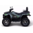 Квадроцикл MOTAX ATV Grizlik Y300