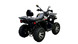 Квадроцикл BISON Hammer 200L Lux, фото 3 Квадроцикл BISON Hammer 200L Lux, фото 3