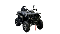 Квадроцикл BISON Hammer 200L Lux, фото 2 Квадроцикл BISON Hammer 200L Lux, фото 2