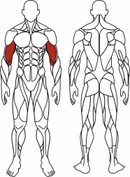 Бицепс сидя (красный) - Уличный тренажер - СТ 034-11.И1, фото 6