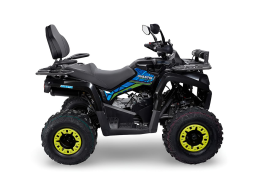 Квадроцикл AVANTIS Forester Long 200 Lux, фото 2 Квадроцикл AVANTIS Forester Long 200 Lux, фото 2