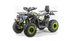 Квадроцикл BISON Track LUX, фото 1 Квадроцикл BISON Track LUX, фото 1