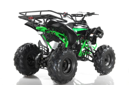 Квадроцикл MOTAX ATV Raptor-LUX 125 cc, фото 6