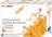 Детская баскетбольная стойка складная в чемодане