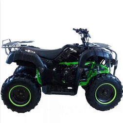 Квадроцикл MOTAX ATV Grizlik 200 Lux, фото 4