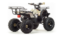 Квадроцикл MOTOLAND 150 Fox, фото 8