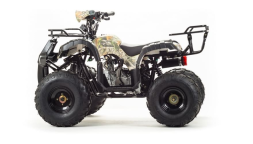 Квадроцикл MOTOLAND 150 Fox, фото 7