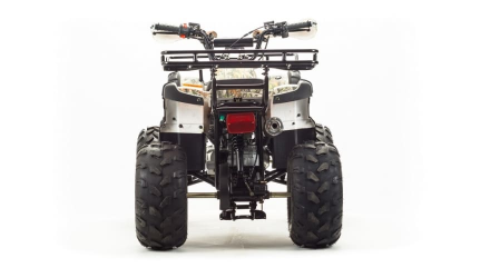 Квадроцикл MOTOLAND 150 Fox, фото 6