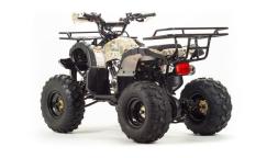 Квадроцикл MOTOLAND 150 Fox, фото 4