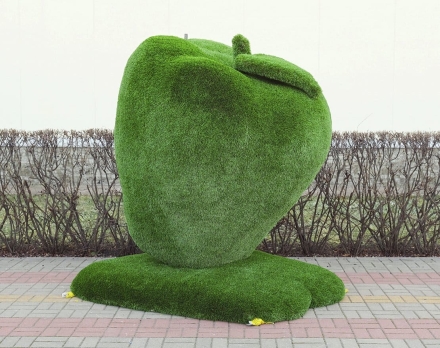 Топиари яблоко Голден - газон Deluxe, фото 1