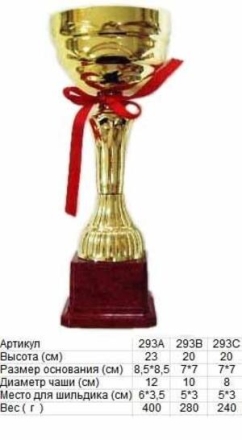 Кубок 293 С h-20см (чаша), фото 1