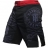 Шорты Hardcore Training hctshorts011