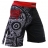 Шорты Hardcore Training hctshorts011