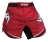 Шорты ММА Venum Jose Aldo Bloody Lion Red