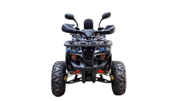 Квадроцикл BISON 125 Hunter LD, фото 7 Квадроцикл BISON 125 Hunter LD, фото 7