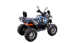 Квадроцикл BISON 125 Hunter LD, фото 6 Квадроцикл BISON 125 Hunter LD, фото 6