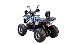 Квадроцикл BISON 125 Hunter LD, фото 5 Квадроцикл BISON 125 Hunter LD, фото 5