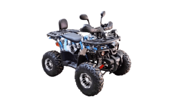 Квадроцикл BISON 125 Hunter LD, фото 3 Квадроцикл BISON 125 Hunter LD, фото 3