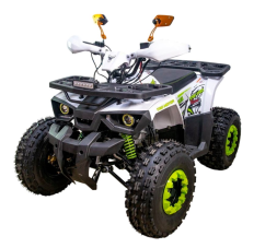 Квадроцикл GAOBO Kids 125 LD