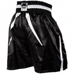 Шорты Venum venshorts0274, фото 2