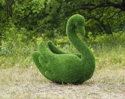 Топиари лебедь Кристи Два лебедя - газон Eco, фото 3