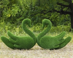 Топиари лебедь Кристи Два лебедя - газон Eco, фото 1