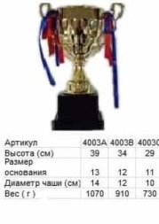Кубок 4003 B h-39см (чаша)