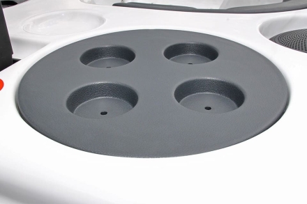 Спа бассейн Passion Spas Exclusive Spa Theatre, фото 10