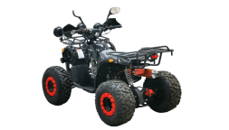 Квадроцикл BISON Kids 125 LD, фото 7 Квадроцикл BISON Kids 125 LD, фото 7