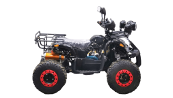 Квадроцикл BISON Kids 125 LD, фото 6 Квадроцикл BISON Kids 125 LD, фото 6