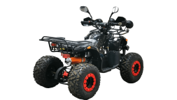 Квадроцикл BISON Kids 125 LD, фото 5 Квадроцикл BISON Kids 125 LD, фото 5