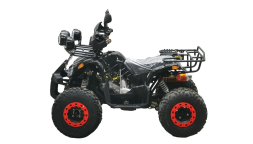 Квадроцикл BISON Kids 125 LD, фото 4 Квадроцикл BISON Kids 125 LD, фото 4