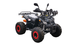 Квадроцикл BISON Kids 125 LD, фото 3 Квадроцикл BISON Kids 125 LD, фото 3