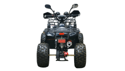 Квадроцикл BISON Kids 125 LD, фото 2 Квадроцикл BISON Kids 125 LD, фото 2