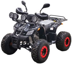 Квадроцикл BISON Kids 125 LD, фото 1 Квадроцикл BISON Kids 125 LD, фото 1