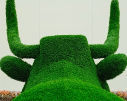 Топиари корова Хэльга - газон Eco, фото 6