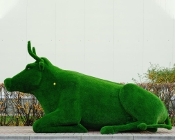 Топиари корова Хэльга - газон Eco, фото 2