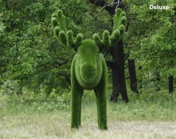 Топиари лось - газон Deluxe/Deluxe Green, фото 4