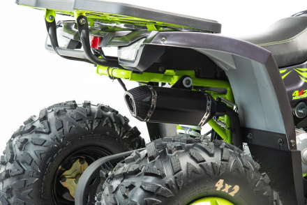 Квадроцикл MOTOLAND Wild X Баланс. вал. (2021 Г.), фото 3