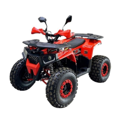 Квадроцикл BISON Forest 125 Квадроцикл BISON Forest 125