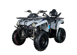 Квадроцикл AVANTIS Forester Long 200 Premium, фото 1 Квадроцикл AVANTIS Forester Long 200 Premium, фото 1