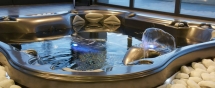 Спа бассейн Dimension One Spas Bay Collection Lotus Bay