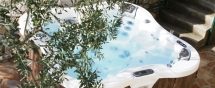 Спа бассейн Dimension One Spas Bay Collection Lotus Bay